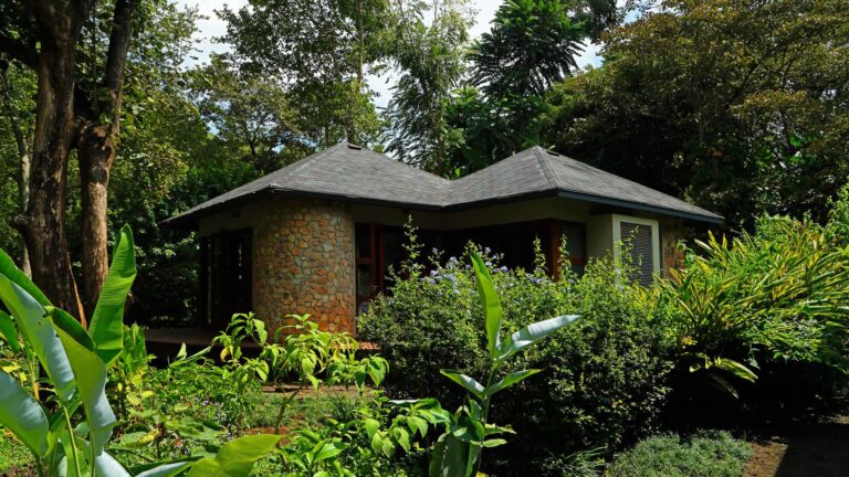 Tanzania-Safari-Beach-day-1-3