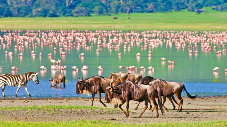 Tanzania-Safari-Beach-day-2to4-1