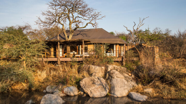Legendary Mwiba Lodge 4