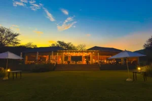 Top Wellness Safari Retreats in Southern and East Africa for 2026 1 | Travel Africa & More