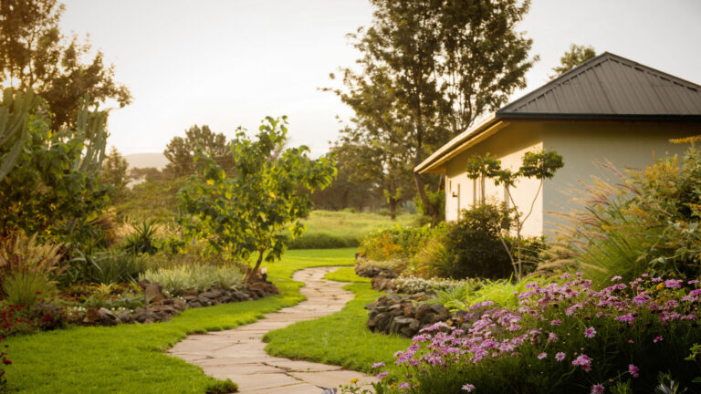 eliza_powellkatambuga_house_dsc_3260