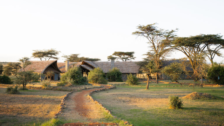 kenya-mara-naboisho-1