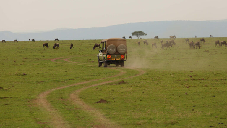 kenya-mara-naboisho-4