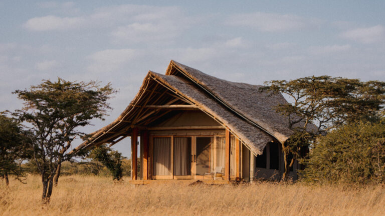 kenya-mara-naboisho-5