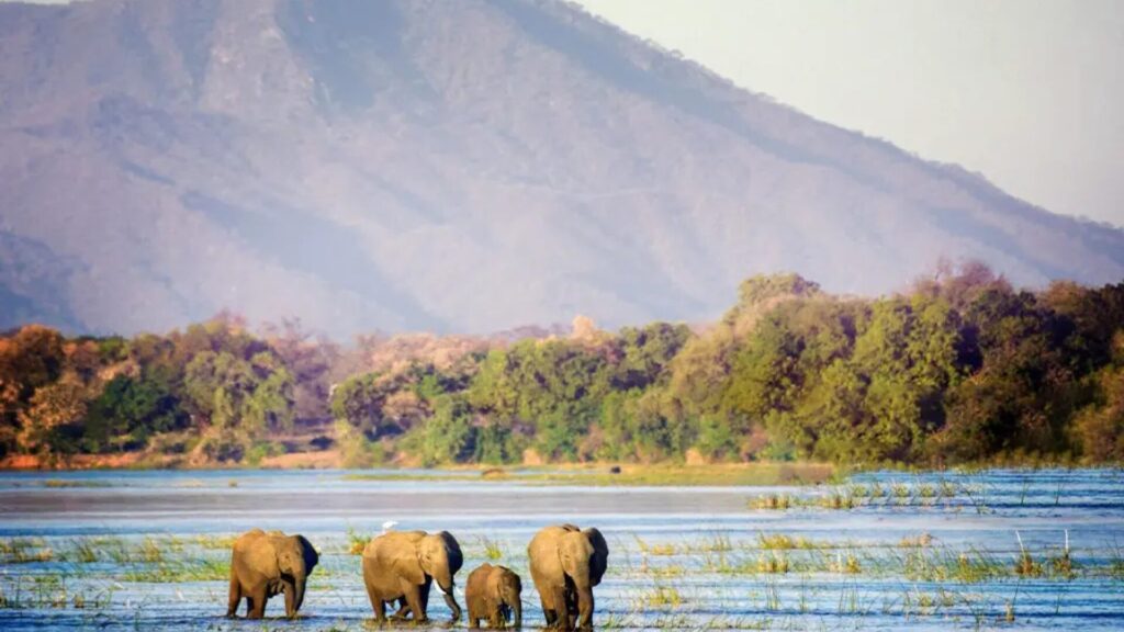 mana pool blog | Travel Africa & More