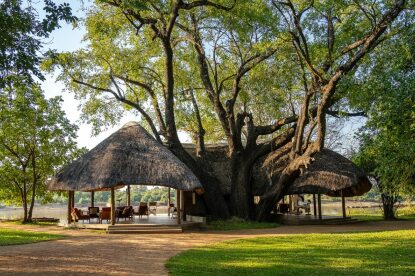 mobile safari banner 1 1 | Travel Africa & More