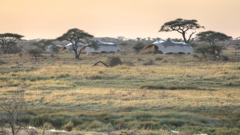 namiri_plains_-_camp_overview