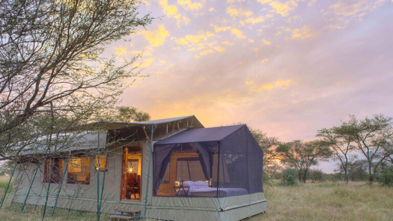 olakira_camp_-_stargazing_tent