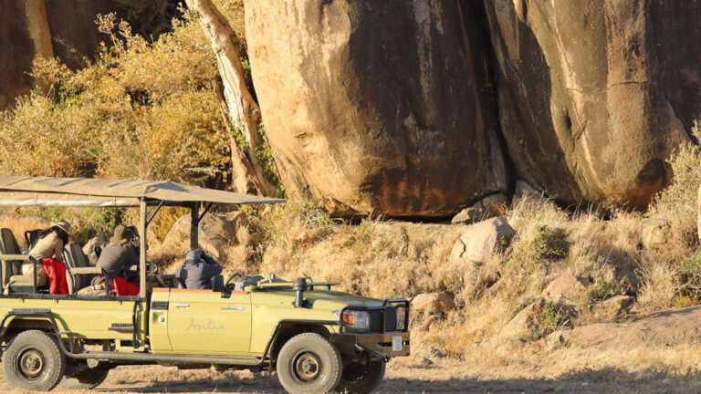 wetu_-_namiri_plains_-_game_drive1