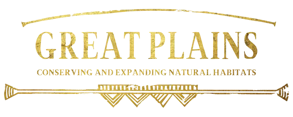 2 | Travel Africa & More