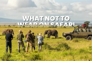 What Not to Wear on Safari: Common Clothing Mistakes