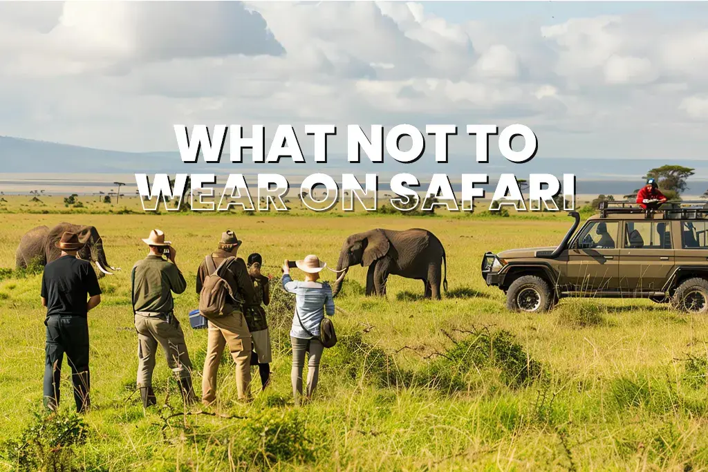 What Not to Wear on Safari: Common Clothing Mistakes