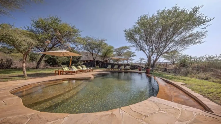 Amboseli 1