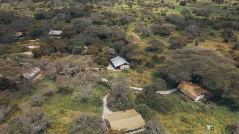 Amboseli