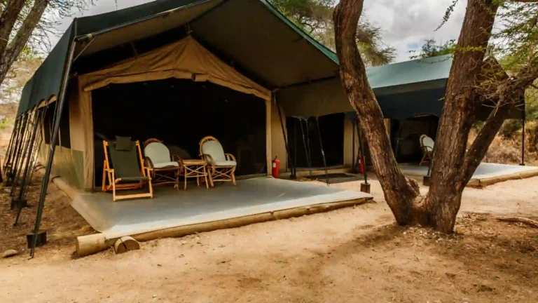 Amboseli National Park 2