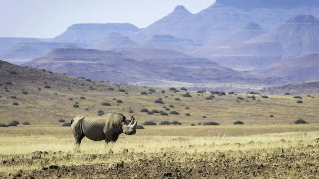 Budget Damaraland 1