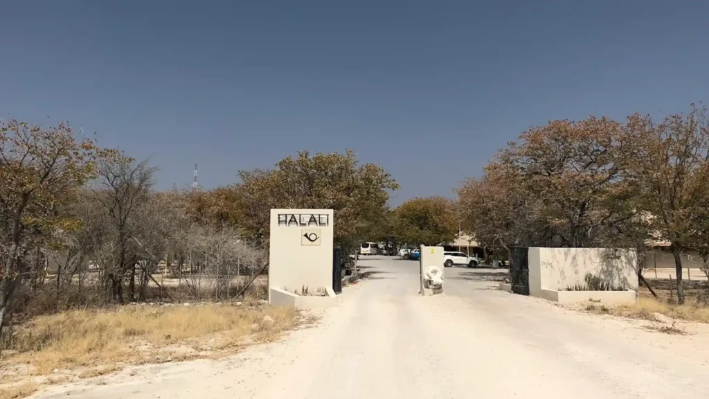 Budget Etosha National Park 4