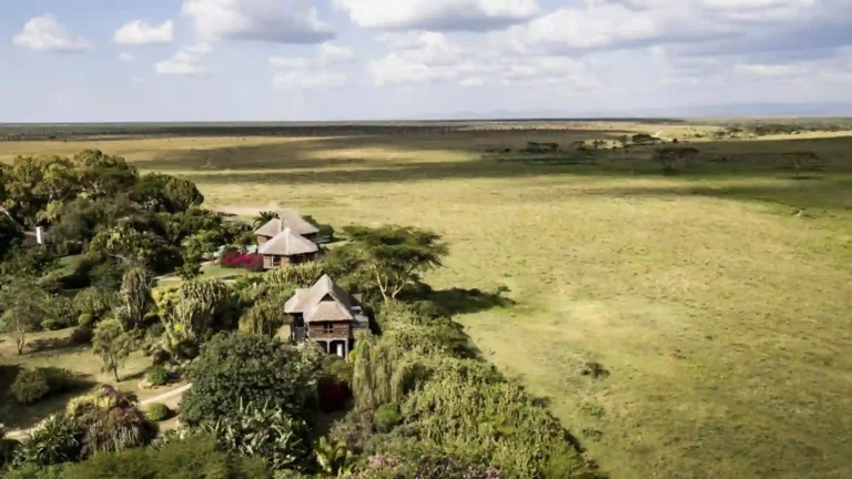 Laikipia 1