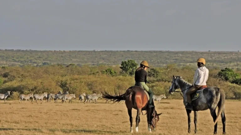 Laikipia 2