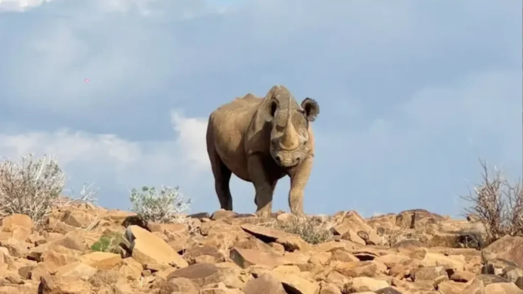 Preminum Damaraland 4