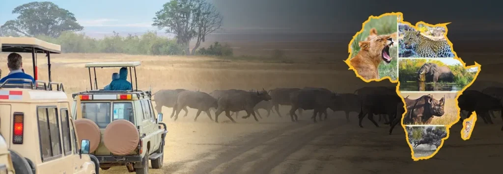 8 Days / 7 Nights
Essence of South Africa Safari
