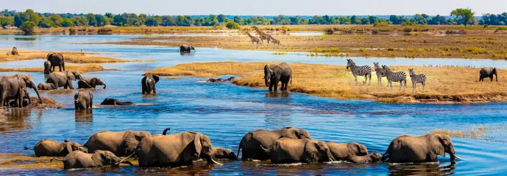 7 Days / 6 Nights
Hidden Wonders of Botswana Safari