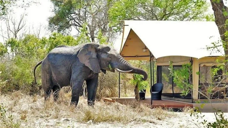 greater-kruger-private-reserve-1