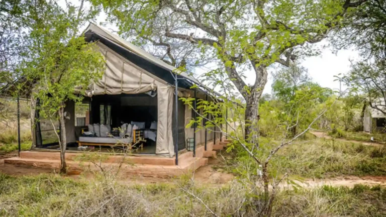 greater-kruger-private-reserve-4