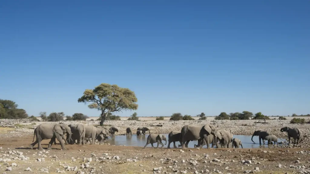 image4 | Travel Africa & More