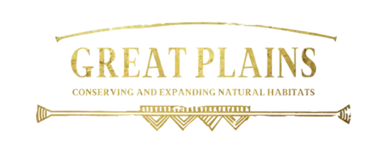 logo 1 | Travel Africa & More