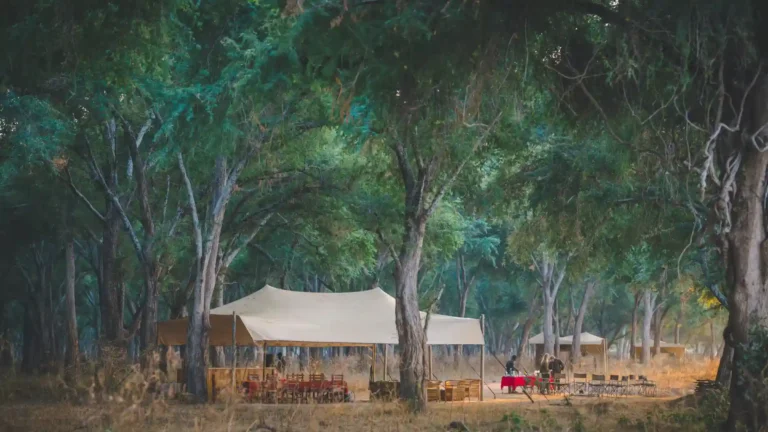 lower-zambezi-national-park-budget-1