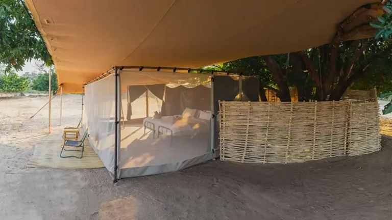 lower-zambezi-national-park-budget-2