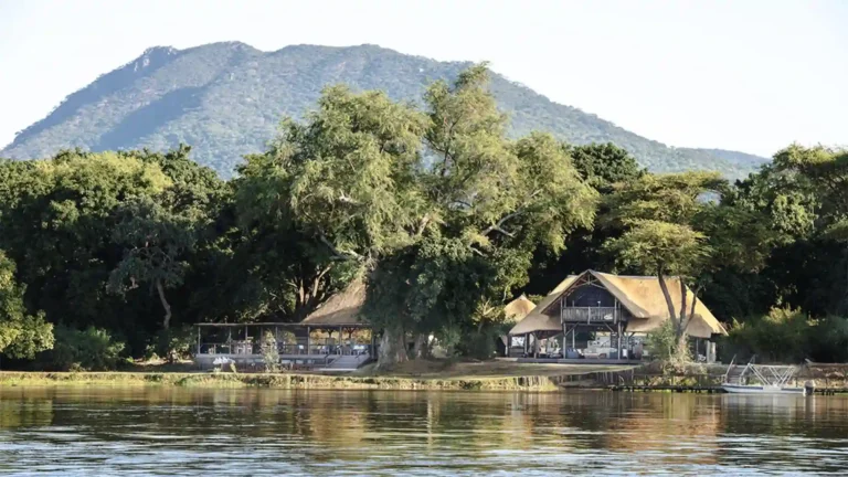 lower-zambezi-national-park-premium-1