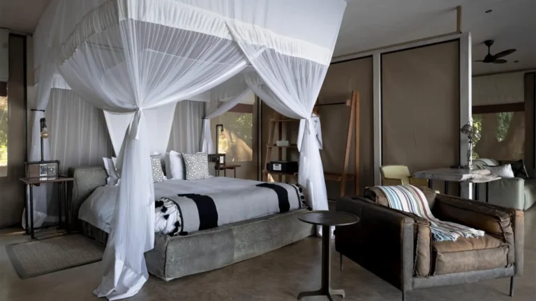 lower-zambezi-national-park-premium-5