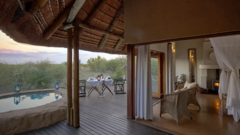 madikwe-prenium-4