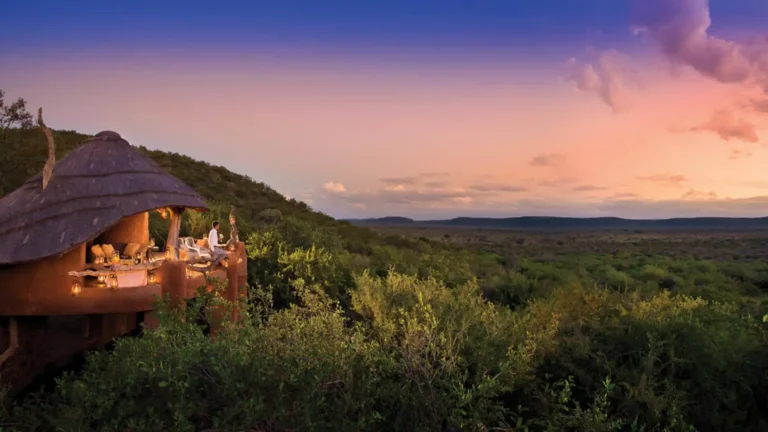 madikwe-prenium-5
