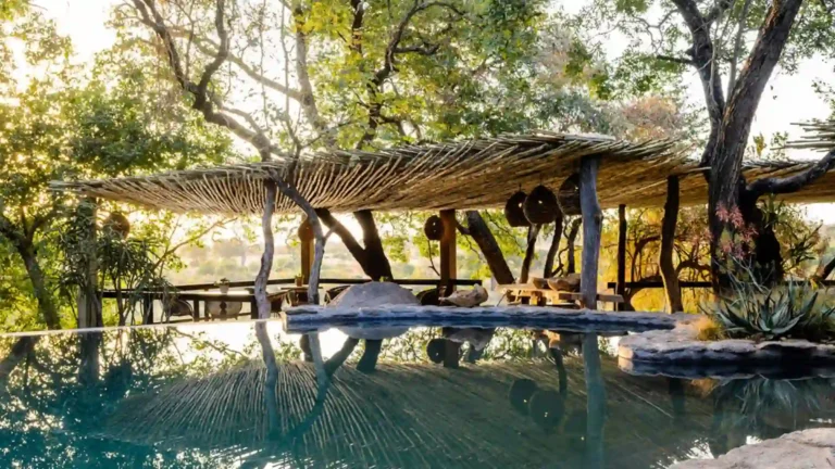 sabi-sand-luxury-5