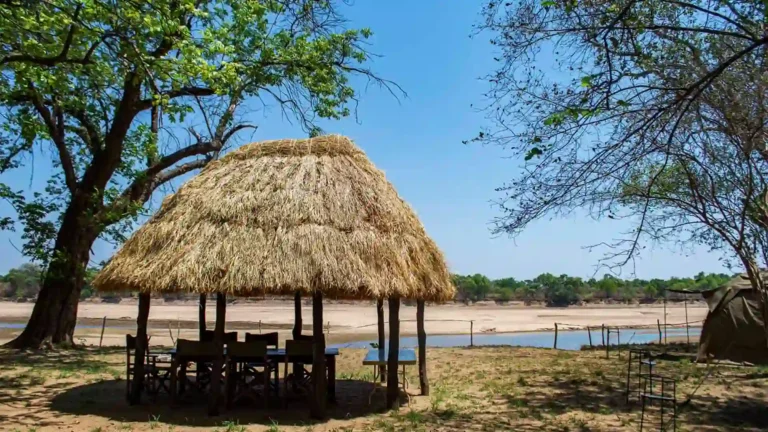 south-luangwa-national-park-budget-4