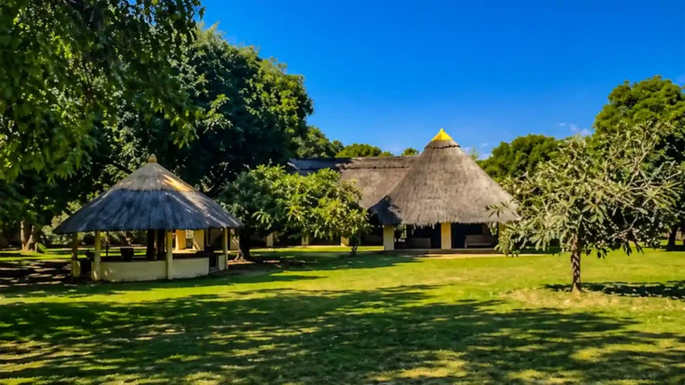south-luangwa-national-park-budget-5