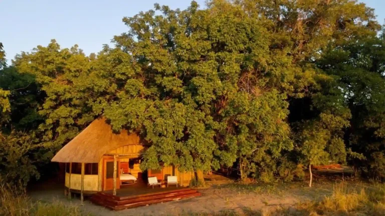 south-luangwa-national-park-premium-1