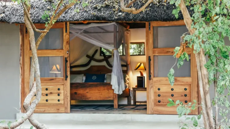 south-luangwa-national-park-premium-2