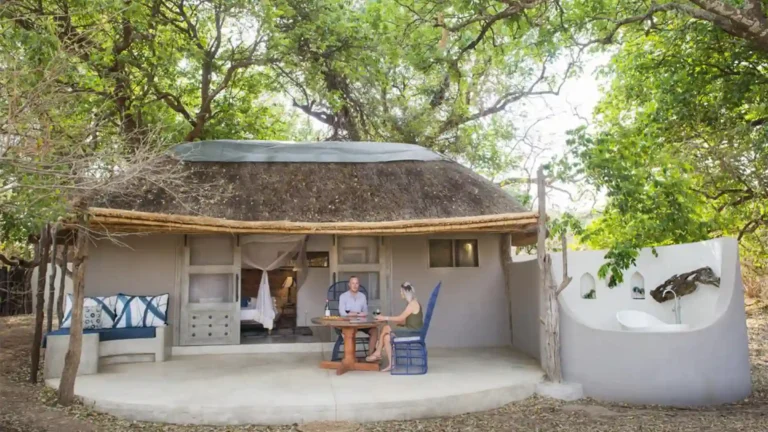 south-luangwa-national-park-premium-3