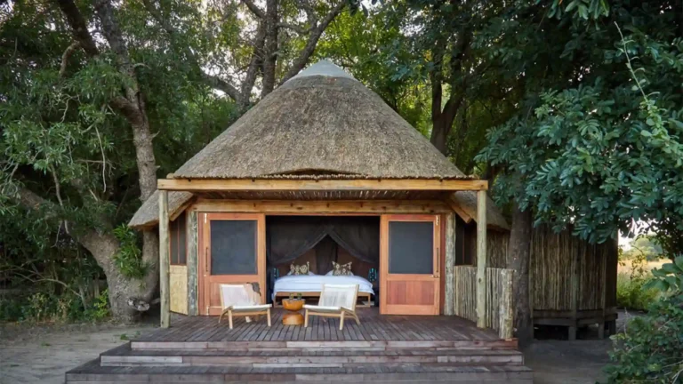 south-luangwa-national-park-premium-4