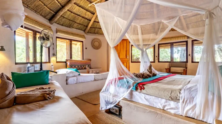 timbavati-private-game-reserve-premium-2