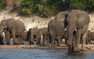 11 Day Victoria Falls and Botswana Highlights Safari | Travel Africa & More