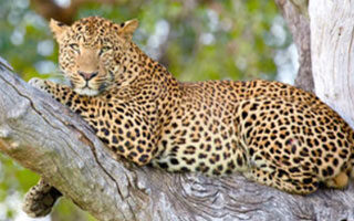 11 Day Zambia Off The Beaten Track | Travel Africa & More