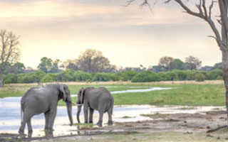 11 Day Zimbabwe and Botswana Highlights Safari | Travel Africa & More