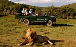 12 Day South African Odyssey | Travel Africa & More