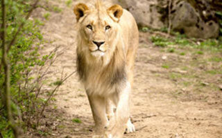 8 Day Kafue National Park Safari Escape | Travel Africa & More
