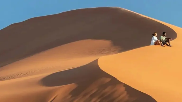 Explore Namibia Deserts Coast Wildlife | Travel Africa & More
